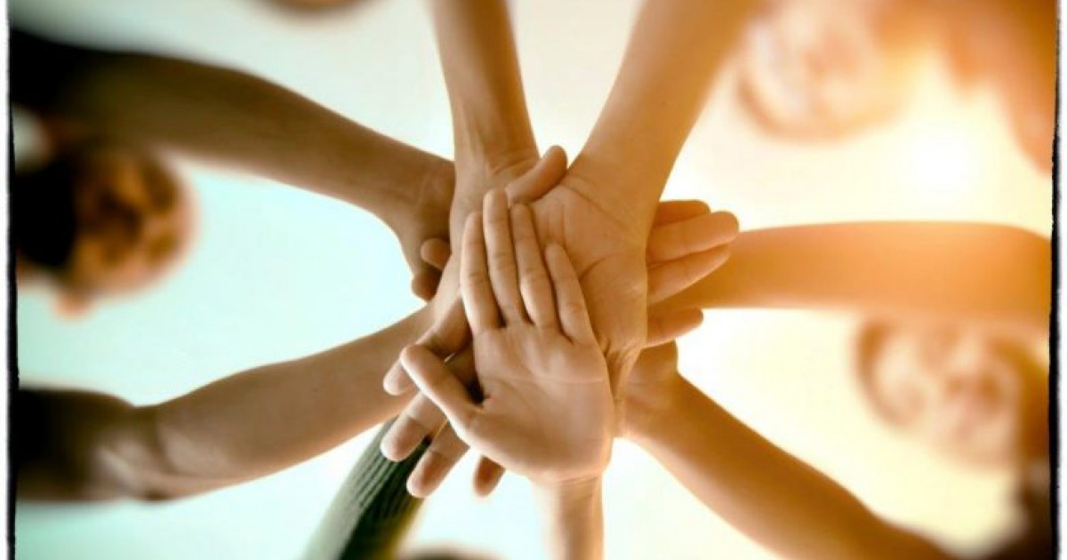 sociaal domein kennis adviesbureau